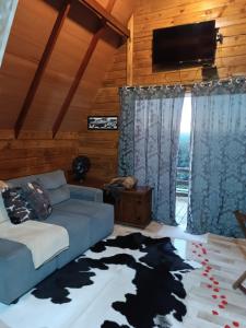 ein Wohnzimmer mit Couch und Flachbildfernseher in der Unterkunft Chalés Refúgio nas montanhas in Guaratuba + 18 Fotos