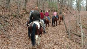 a group of people riding horses down a trail at Cozy Cub Den in Bryson City