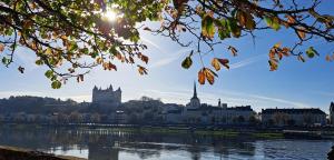 a view of a city from the river at L'Instant Loire in Saumur