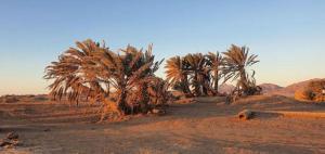 Φυσικό τοπίο κοντά σε αυτό το κάμπινγκ