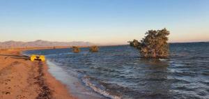 Φυσικό τοπίο κοντά σε αυτό το κάμπινγκ