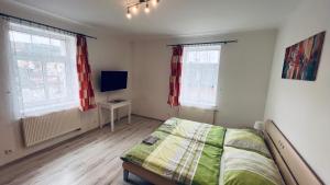 TV a/nebo společenská místnost v ubytování Dana ubytování