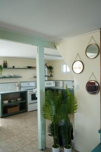 une cuisine avec une centrale au milieu dans l'établissement New 2 Bedroom Huge Beachfront Patio in San Pedro Town, à San Pedro