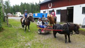 a group of children riding on a horse drawn cart at Haga gård och Stall in Herräng