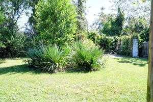 Un jardín fuera de Classic 2 bed 1 bath home in the cradle of beautiful Valdosta