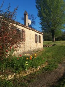 Κήπος έξω από το Gîte de la source