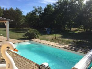 une piscine avec un canard sur une terrasse en bois dans l'établissement VillasHomeClet - Villa Côte & Lac, à Naujac-sur-Mer 26 autres photos