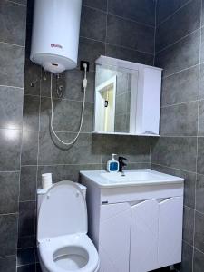 a bathroom with a toilet and a sink and a mirror at Action Djal in Bishkek