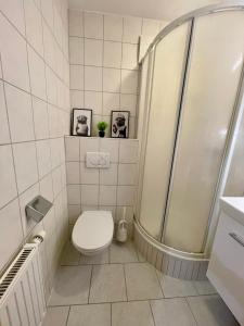 Un baño con inodoro y ducha en ModernLoft Ried, Balcony Suite, en Neuhofen im Innkreis 12 fotos más