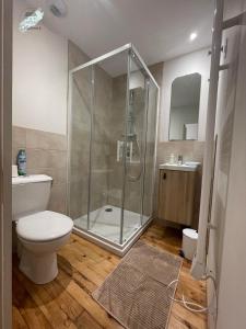 a bathroom with a shower and a toilet and a sink at Gîte La Chaumine in Brangues