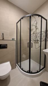 een badkamer met een douche, toilet en wastafel bij London Grand in Londen +25 foto's