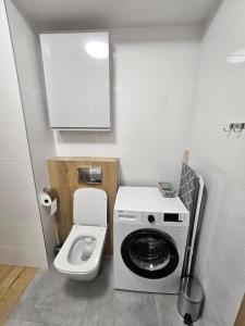 ein kleines Bad mit einer Waschmaschine und einem WC in der Unterkunft Komfortowy, klimatyzowany apartament Góry Marzeń - Lesko in Lesko