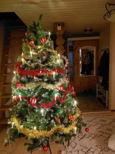 Fotografie z fotogalerie ubytování A room (or 2 or 3) in a Lapland House of Dreams v destinaci Rovaniemi