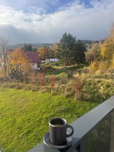 Naturlandskabet i nærheden af lejligheden