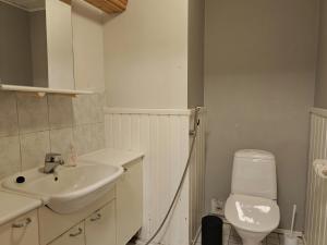un bagno con lavandino e WC di Spacious Apartment for 12 with Sauna a Laitasaari Altre 17 foto