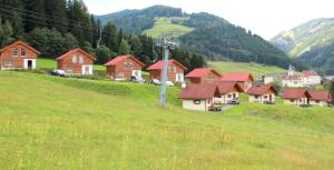 Táj Show holiday homes közelében