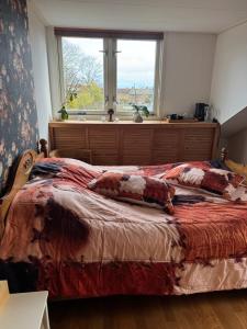 ein Schlafzimmer mit einem großen Bett mit Fenster in der Unterkunft Bed en breakfast in Stad aan ʼt Haringvliet + 13 Fotos