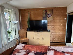 ein Schlafzimmer mit einem TV an einer Holzwand in der Unterkunft Bed en breakfast in Stad aan ʼt Haringvliet