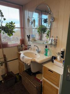 ein Badezimmer mit Waschbecken und Spiegel in der Unterkunft Bed en breakfast in Stad aan ʼt Haringvliet