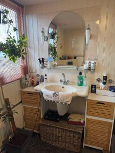 ein Badezimmer mit Waschbecken und Spiegel in der Unterkunft Bed en breakfast in Stad aan ʼt Haringvliet