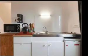 a kitchen with a sink and a microwave at Envol du Phénix - Studio Phenix 20 m² avec jardin in Plouédern