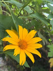 Foto Tangalles asuva majutusasutuse Sunset Fields galeriist