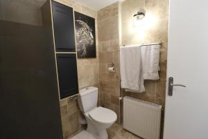 a bathroom with a white toilet and a wall at gite des 3 rivières in Longeault +34 photos