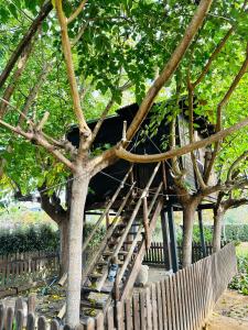 Fotografie z fotogalerie ubytování Cabaña en los Arboles v destinaci Tordera