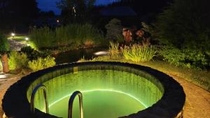 ein Pool mitten im Garten nachts in der Unterkunft Atsalama puhketalu kompleks in Atsalama