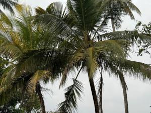 Loodusmaastik villa lähedal