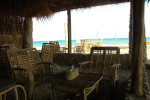 Příroda nedaleko kempu