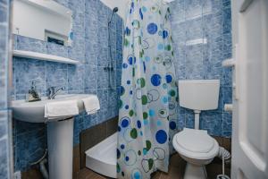 ein Badezimmer mit Toilette, Waschbecken und Duschvorhang in der Unterkunft Silver Villa in Băile Tuşnad + 44 Fotos