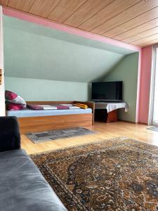ein Wohnzimmer mit einem Bett und einem Flachbildfernseher in der Unterkunft Wohnung für Monteure & Handwerker in Neustadt am Kulm