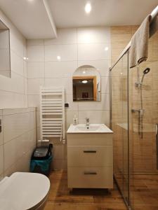 ein Badezimmer mit Toilette, Waschbecken und Dusche in der Unterkunft Domek nad wodospadem in Zakopane
