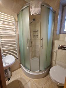 ein Badezimmer mit Dusche, Toilette und Waschbecken in der Unterkunft Domek nad wodospadem in Zakopane