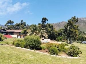 ein Haus mit einer Palme auf einem Feld in der Unterkunft Into the Sunset Manor in Gordonʼs Bay + 7 Fotos