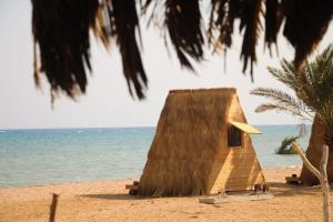 eine kleine Hütte an einem Strand mit Blick auf das Meer in der Unterkunft Nakhlat E'taal Camp - نخلة التل كامب in Nabq