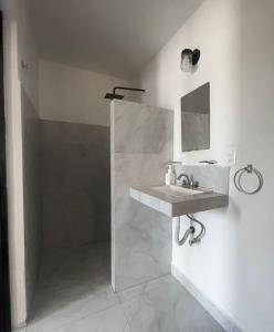 une salle de bain avec lavabo et douche dans l'établissement Departamento TUL, à Mérida