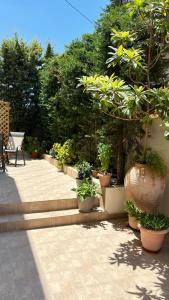 a group of potted plants sitting on a patio at Haplotēs Rhodes Studio in Koskinou