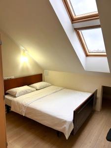 オルゲイにあるHotel Sofiaのベッドルーム1室(ベッド2台、天窓付)