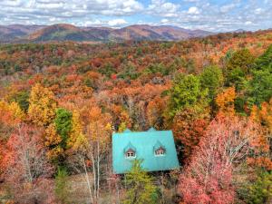 a blue house in the middle of the forest at New The Hummingbird - MtnViews Hot Tub Game Room in Sautee Nacoochee