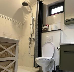 a bathroom with a toilet and a shower at Vikendica A&J in Blidinje +25 photos