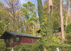 Zahrada ubytování Hideaway Lodges + 3 fotografie