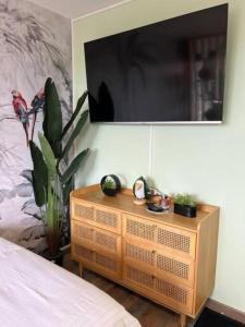 シャルトルにあるStudio le Cosy Jungleのベッドルーム1室(壁にテレビ付きのドレッサー付) +2枚の写真