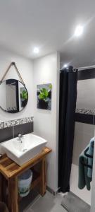 une salle de bain avec un lavabo et un miroir dans l'établissement Studio Lindois, à Lalinde 2 autres photos