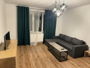 a living room with a couch and a television at Apartament Siedlce ul Szkolna 4 in Siedlce