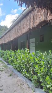 a building with a bunch of plants in front of it at Casa Lari milagres in São Miguel dos Milagres