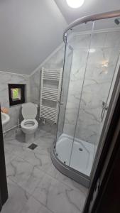 a bathroom with a shower and a toilet and a sink at Pensiunea Heaven in Dîmbovicioara
