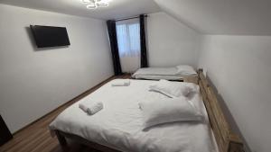 a bedroom with two beds and a flat screen tv at Pensiunea Heaven in Dîmbovicioara