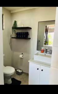a bathroom with a toilet and a sink and a mirror at Crump's Loft House in Durban +11 photos